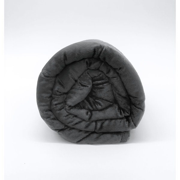 Bell + Howell Weighted Throw Blanket & Reviews Wayfair